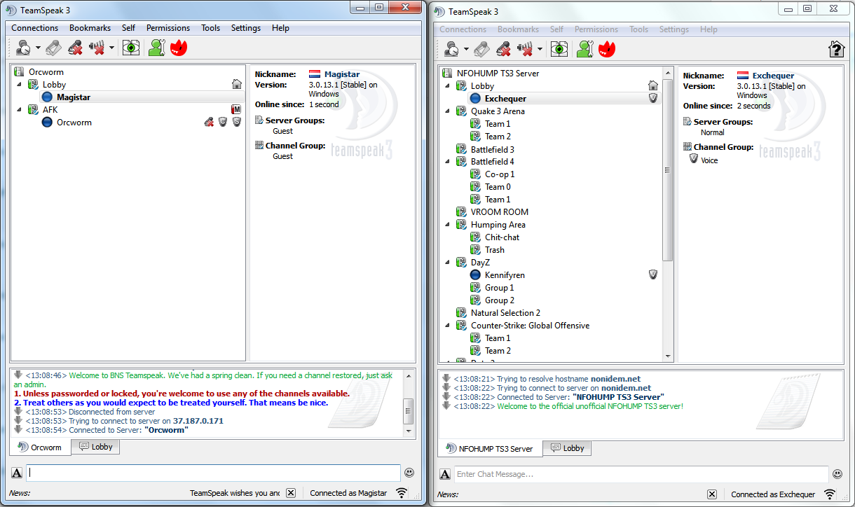 Deux fenêtres de TeamSpeak 3 et leurs salons vocaux