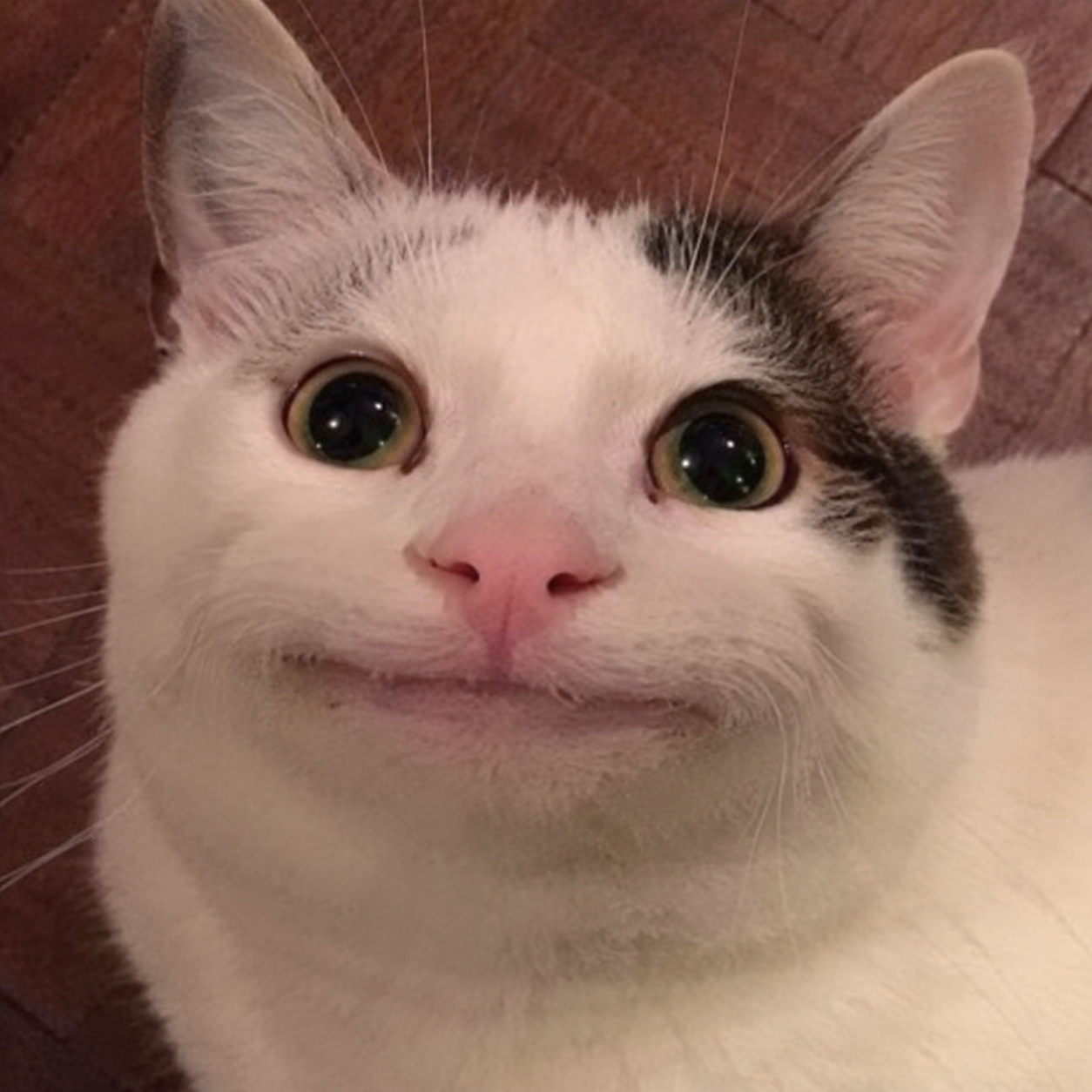 Avatar de Ryusei